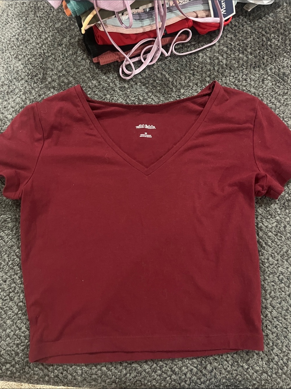 wild fable Burgundy V-Neck Cropped Tee